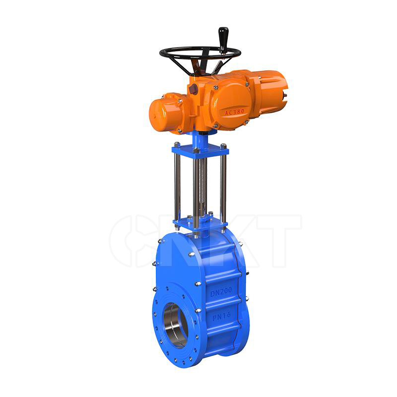 Electric wafer double gate valve