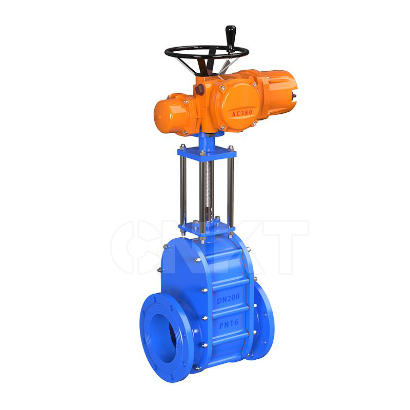 Electric double gate valve