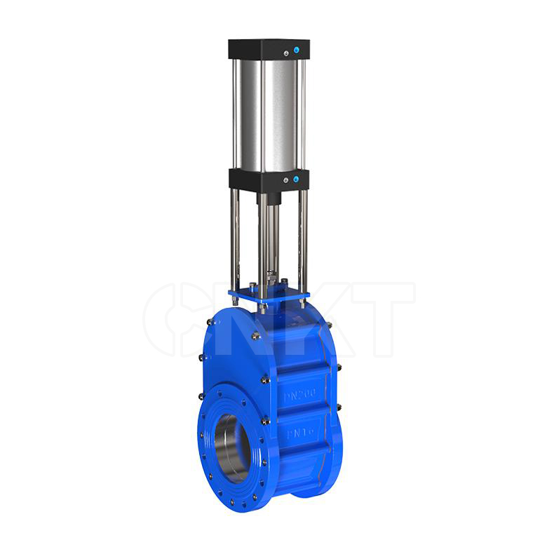 Pneumatic wafer double gate valve